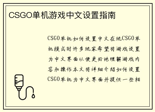 CSGO单机游戏中文设置指南